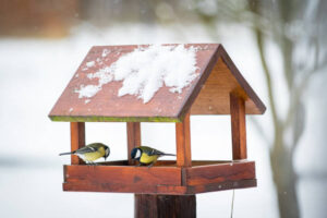 Vogelfutterhӓuser im Garten