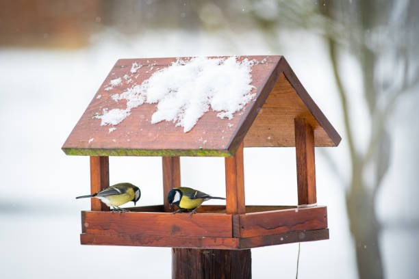 Vogelfutterhӓuser im Garten